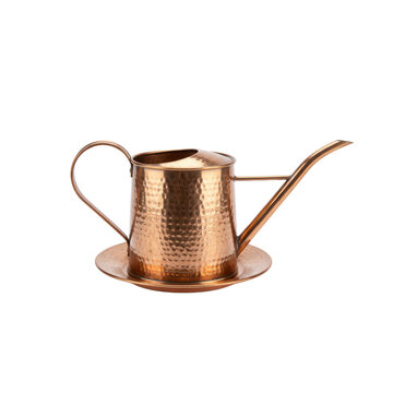 Copper watering can on dish