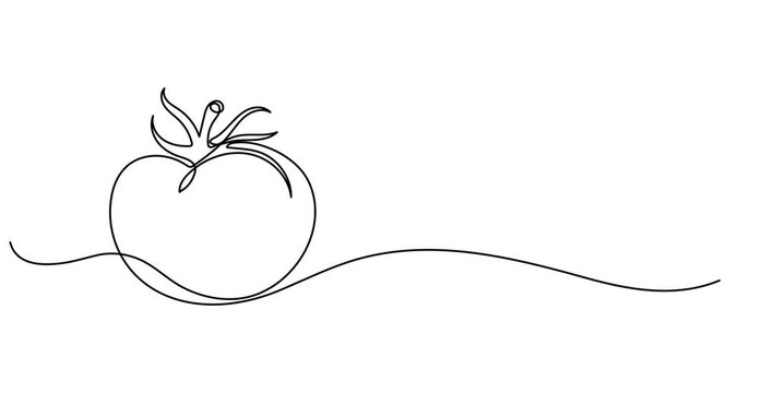 tomato continuous one line drawing animation, Animated self drawing of continuous line draw half sliced healthy organic tomato for farming logo identity. Fresh tropical vegetable concept for veggie