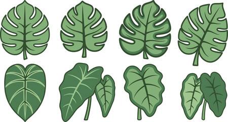 Organic Botanical Leaf Assortment on Clean White. Natural Design Elements for Branding and Packaging. Eco Growth and Sustainability Concept © Iresha