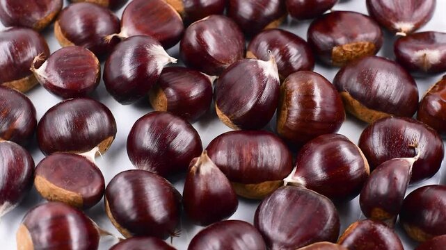 Pile of Italian raw chestnuts from the province of Frosinone in the Lazio region.High angle view on white plate,close-up,rotating video.