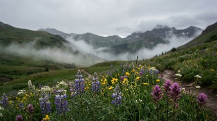 Fototapeta premium A serene mountain landscape with vibrant wildflowers, lush greenery, and misty clouds viewed from a high vantage point at dusk