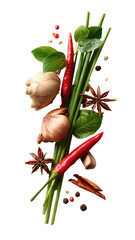 Vibrant red chilies, ginger, garlic, star anise, and fresh green herbs arranged vertically