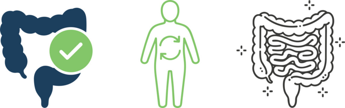 Digestive health icons representing intestine gut wellness digestion human body medical care vector illustration flat outline design