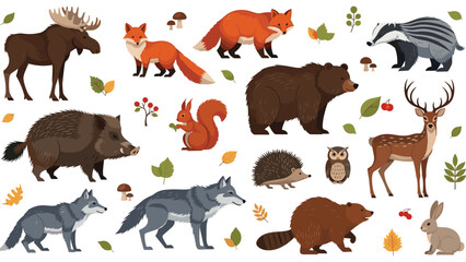 Fototapeta premium A large collection of realistic cartoon forest animals from the Northern hemisphere, including a moose, bear, fox, wolf, and deer.