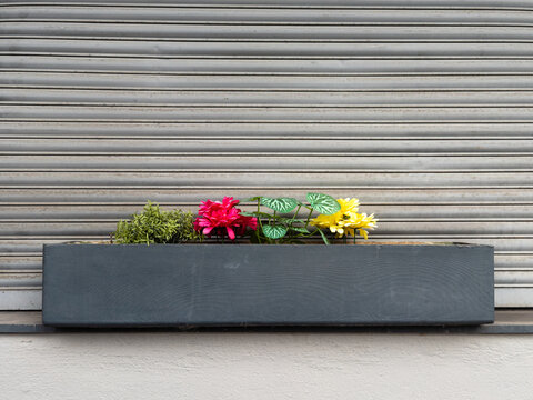 Blumenkasten mit k&uuml;nstlichen bunten Blumen vor geschlossenem Rollladen, Wuppertal, Deutschland