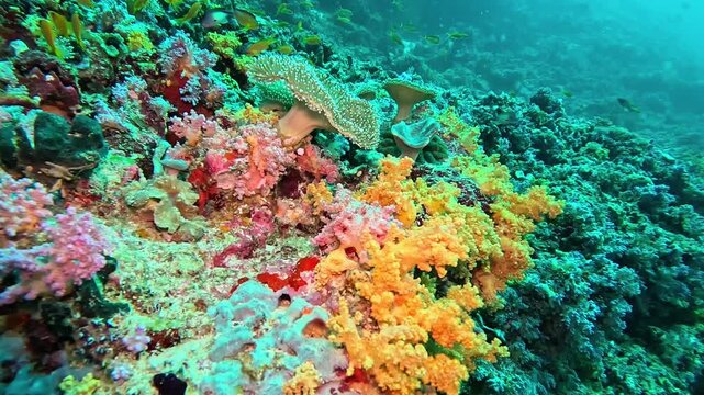 Vibrant coral reef teeming with colorful marine life, showcasing diverse coral formations and small fish swimming among the vivid underwater landscape