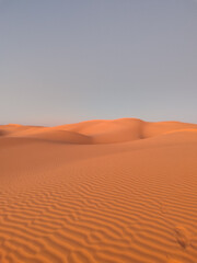 soft sand dunes with smooth curves in minimal desert landscape