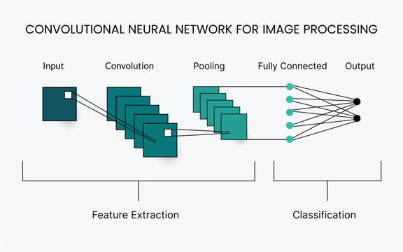 Convolutional neural network for image processing infographic illustrating feature extraction, convolution layers, and classification flow. Clean AI diagram ideal for computer vision, machine learning