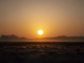 serene sunrise or sunset scene with sun low on horizon and warm gradient sky over blurred field with silhouette of trees ample empty space for text concept of tranquility nature backgrounds