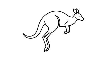 Fototapeta premium kangaroo vector illustration