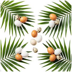 Eggs and palm leaves On Transparent Background
