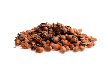 Hazelnuts with shells and unshelled nuts arranged on a white background, showcasing their natural brown color and distinct shapes, ideal for culinary and health-related uses