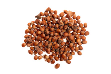Raw hazelnuts scattered on a white background, showcasing their smooth brown shells and natural textures, highlighting the organic quality of this popular nut
