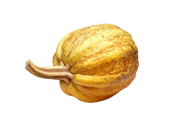 Yellow pumpkin with textured skin and a sturdy stem, positioned on a white background, showcasing its natural shape and color variations
