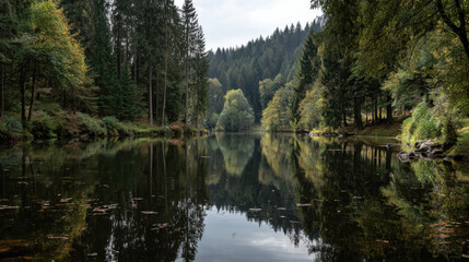 Obraz premium Calm lake water reflection forest evergreen tree nature outdoor mountain landscape tranquil peaceful