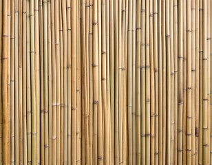 Light Tan Fresh Raw Bamboo with Clean Surface