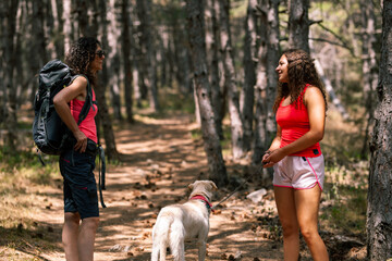 Fototapeta premium Two women enjoy a summer hike in a forest with a dog while chatting on a sunny day surrounded by tall trees and green foliage