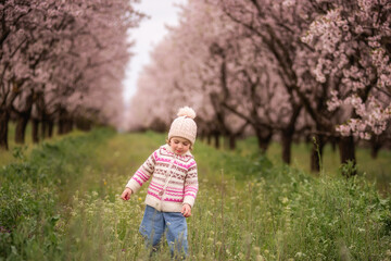 Young child wearing a hat and sweater walking through a grassy field, enjoying childhood moments among rows of pink blossoming trees during springtime