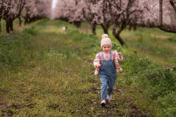 Adorable happy toddler girl is joyfully running through a row of blooming almond trees in an orchard, expressing innocence and freedom on a beautiful spring day