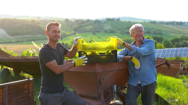 Multi generational men wine producer harvesting grapes at vineyard - Father and son holding box with grapes and smiling - Small family business