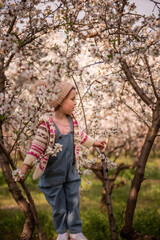 Little girl enjoying a spring day exploring an orchard, delicately touching white blossoms on an almond tree branch, embracing the freshness and beauty of nature outdoors