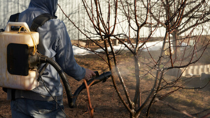 Spring garden treatment with a chemical to kill overwintering pests and fungal spores on trees. The...
