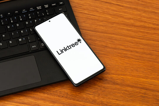Punta Arenas, Chile &ndash; February 04, 2026: Iconic  Linktree logo on a mobile phone screen resting on a laptop