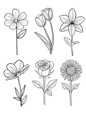 set hand drawn flowers