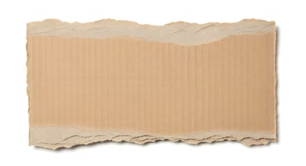 Fototapeta premium Brown Corrugated Cardboard Piece with Torn Edges on White Background rough