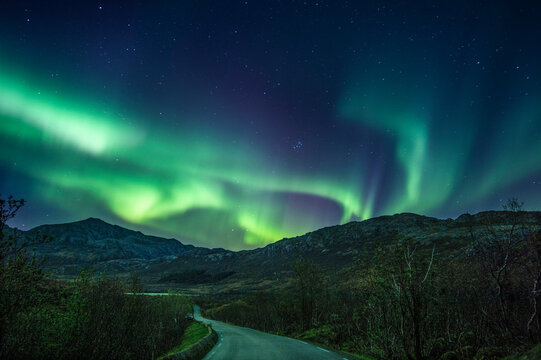 Arora borealis, also known as "The green Dragon" on sky in Lofoen islands, northern Norway