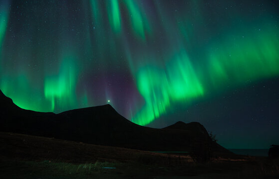 Arora borealis, also known as "The green Dragon" on sky in Lofoen islands, northern Norway