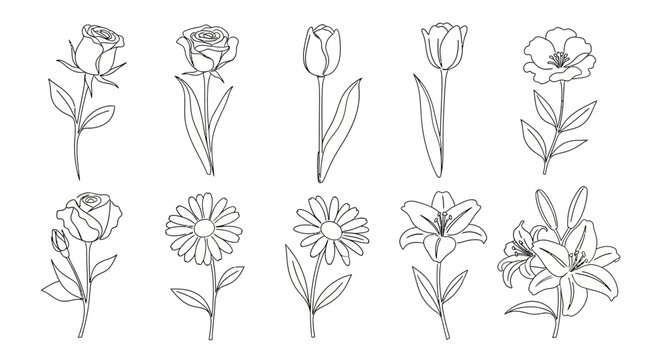 A collection of simple line drawings of various flowers and plants, including roses and lilies, viewed from the side.
