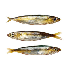 Three small, whole, fresh, silvery-golden fish, horizontally aligned, isolated on a plain dark background