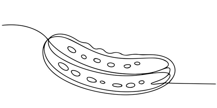 Continuous line drawing sliced cucumber pickles fresh food vegetable icon vector illustration concept, Continuous line drawing of sliced cucumber pickles. One line art concept of fresh food fruit