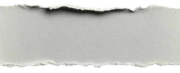 Torn paper strip with jagged edges and a rough, textural surface