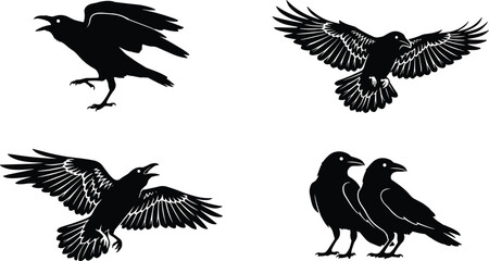 Fototapeta premium Black Crow and Raven Silhouettes Set Featuring Flying Birds Pair of Ravens and Perched Crows for Gothic Halloween Vector Design