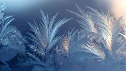 Frosty Window Patterns in Winter