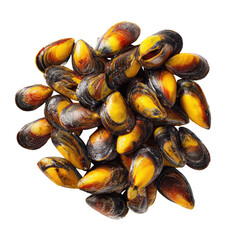 Pile of shiny cooked mussels with golden interiors on a black background