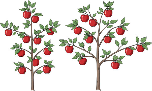 Set of Apple Trees with Ripe Red Apples and Green Leaves for Orchard, Agriculture, Nature, Farming, and Botanical Vector Design.