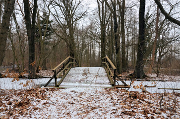 Br&uuml;cke im Spreewald Straupitz in Winterlandschaft 