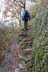 Obraz premium Hiker Climbing Stone Steps on Forest Trail in the Moselle Valley, Germany