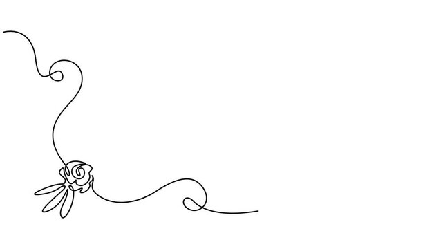 Floral corner frame, one line drawing animation. Video clip with alpha channel, Floral corner frame, one line drawing animation. Video clip with alpha channel, Hand-drawn floral corner, one line art