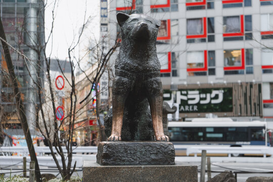 Shibuya, Tokyo 03 - 18 - 2025: Hachiko the dog sculpture