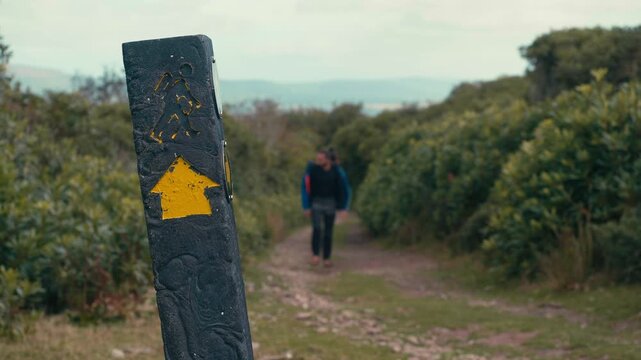 Slow motion cinematic view of weathered trail marker with directional arrow as lone hiker walks along natural path, shallow depth of field emphasizing journey choice, calm motion and outdoor