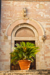 Entrance to old building with potted plant in Assisi
