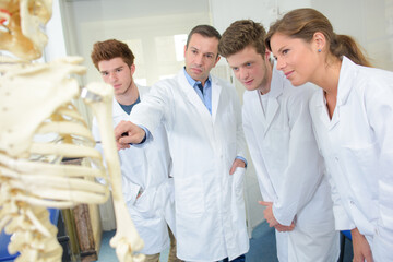 Fototapeta premium Students studying a skeleton with their teacher