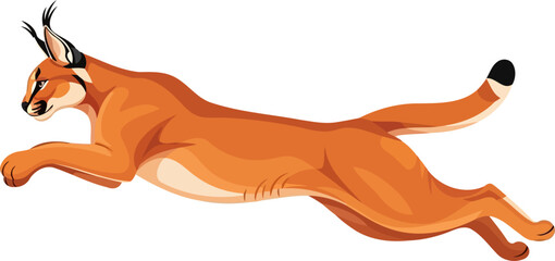 Fototapeta premium Caracal wild cat leaping in mid-air