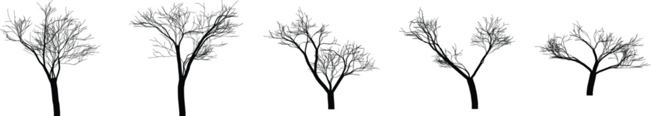Fototapeta premium Set of bare trees in various shapes and sizes trees without leaves deciduous tree silhouettes different tree shapes and forms
