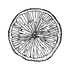 Obraz premium Orange cross section with visible pulp texture, illustrated as hand drawn black and white sketch, suitable for food labels, menus, packaging, culinary branding and educational kitchen design.