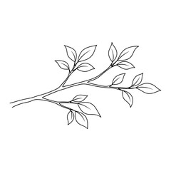 A green tree branch with fresh leaves growing naturally in springtime foliage